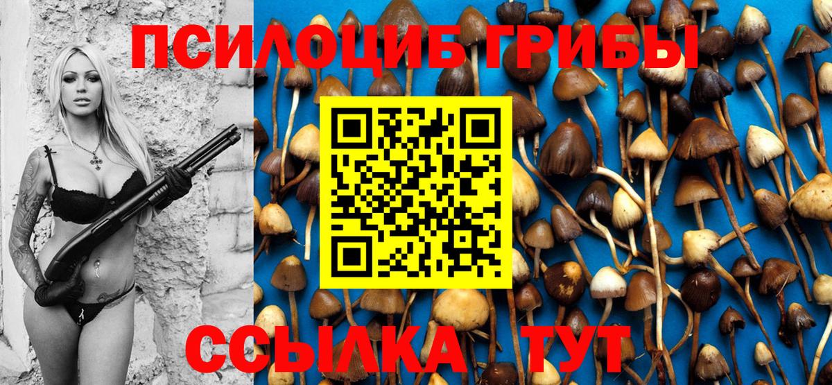 Кстово  Псилоцибиновые грибы Psilocybine cubensis  Вход с VPN 