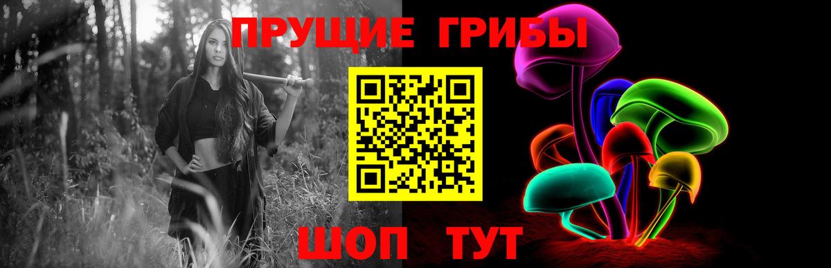 Псилоцибиновые грибы GOLDEN TEACHER Кстово