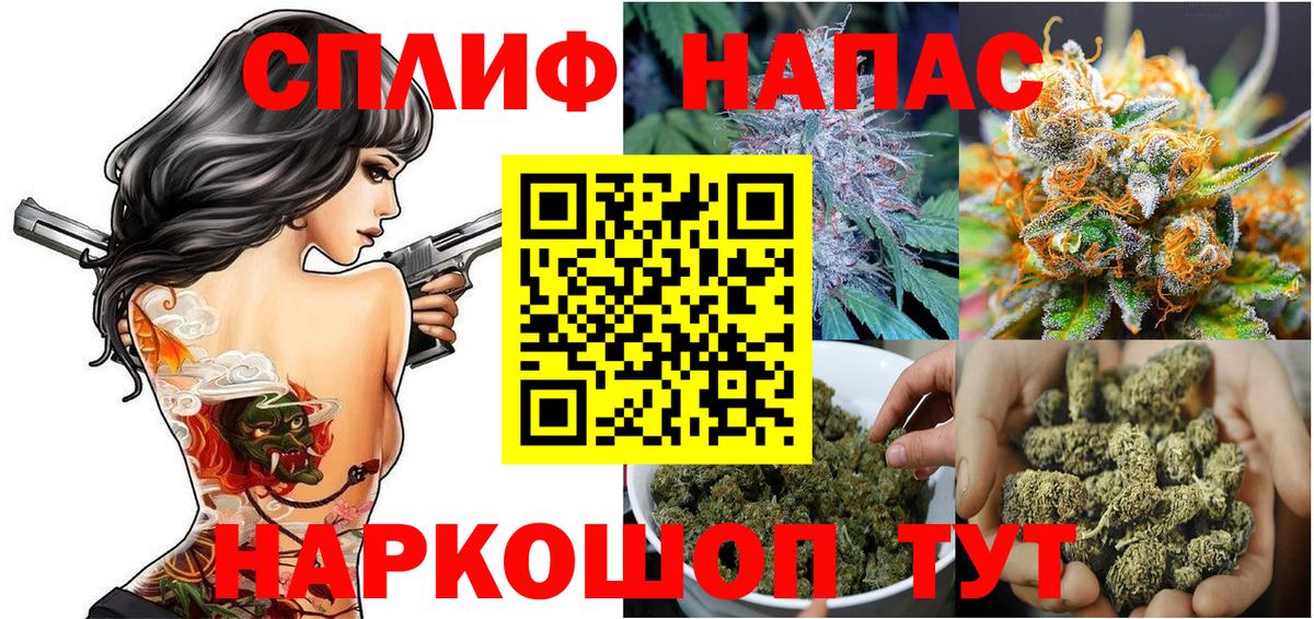 Конопля планчик Кстово